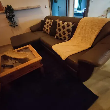 Ferienwohnung Zum Getreidelager Schwarzenbach an der Saale Exterior foto